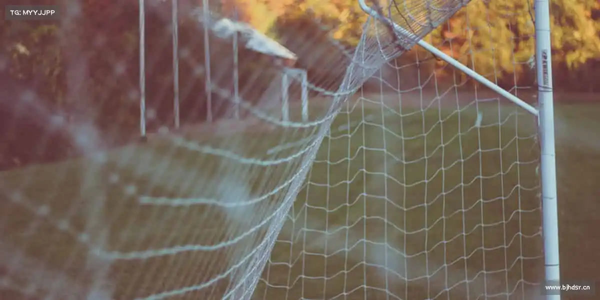 我们的核心竞争力